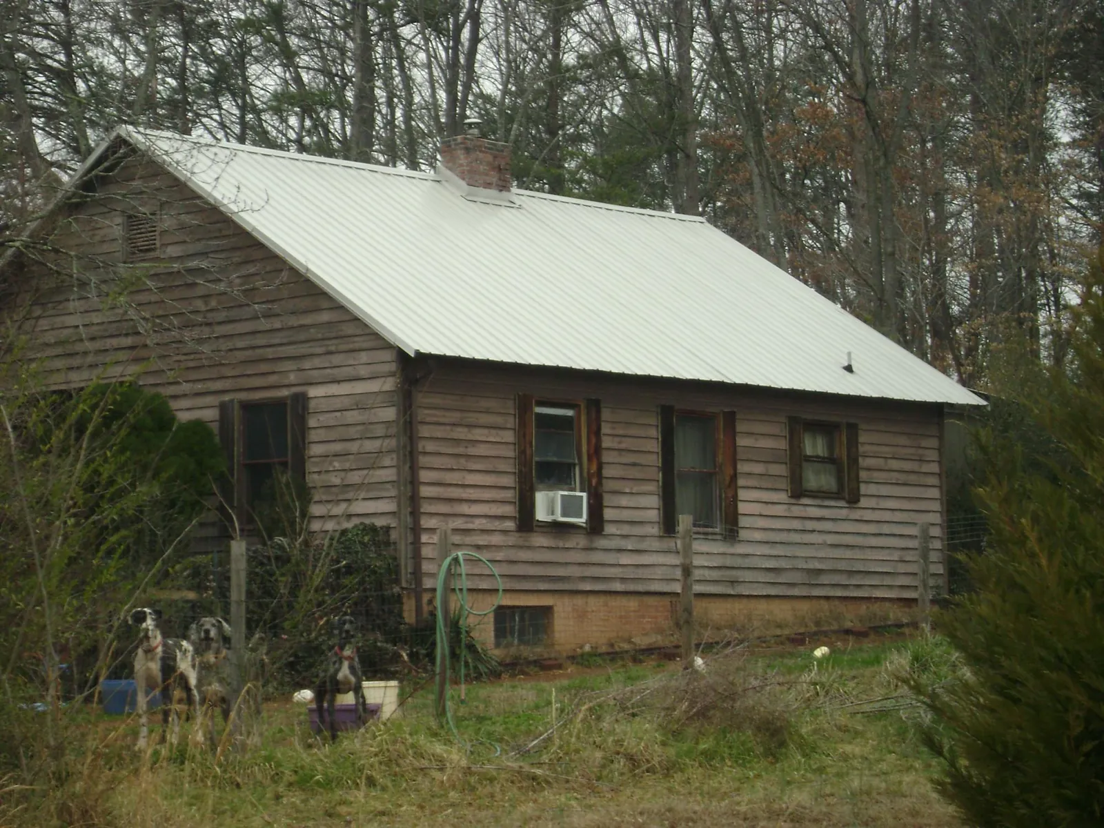White metal roof on an old wood sided farmhouse, from a Asphalt Shingle Roof Repair job in Shippingport